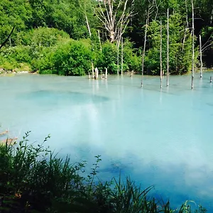 Tomar , Furano Japan